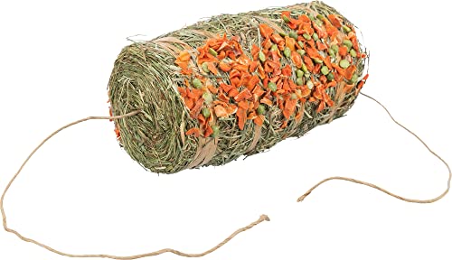 TRIXIE Hay pendulum for hangin... pea and carrot, 250 g - 60797 - down 9.97% (£0.59) to £5.33 from £5.92