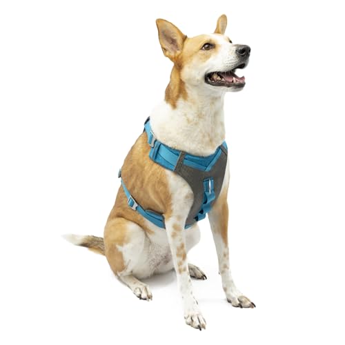 Kurgo Journey Air Dog Harness ...Assist Handle - Blue - X-Large - down 49.13% (£19.81) to £20.51 from £40.32