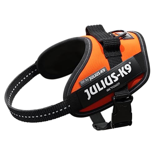 Julius-K9, 16IDC-FOR-MM, IDC P... Size: XS/Mini-Mini, UV Orange - down 33.35% (£8.80) to £17.59 from £26.39