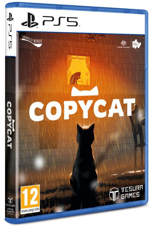 Copycat PS5 Game