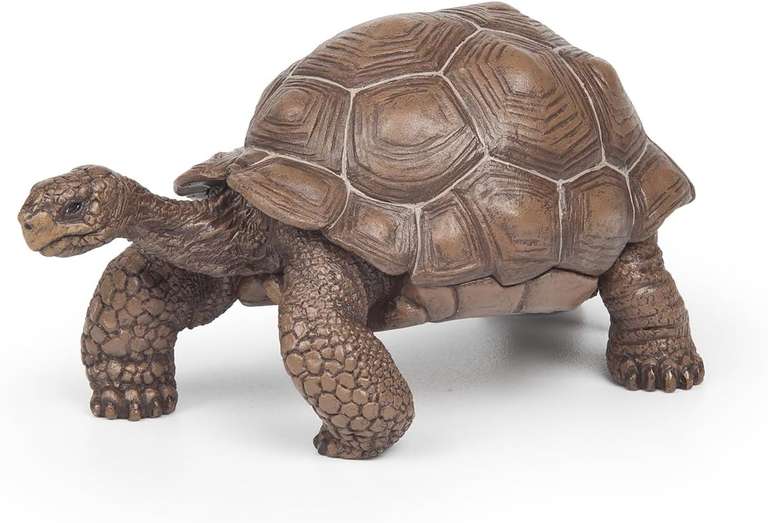 Papo - Realistic Galapagos Tortoise Figure
