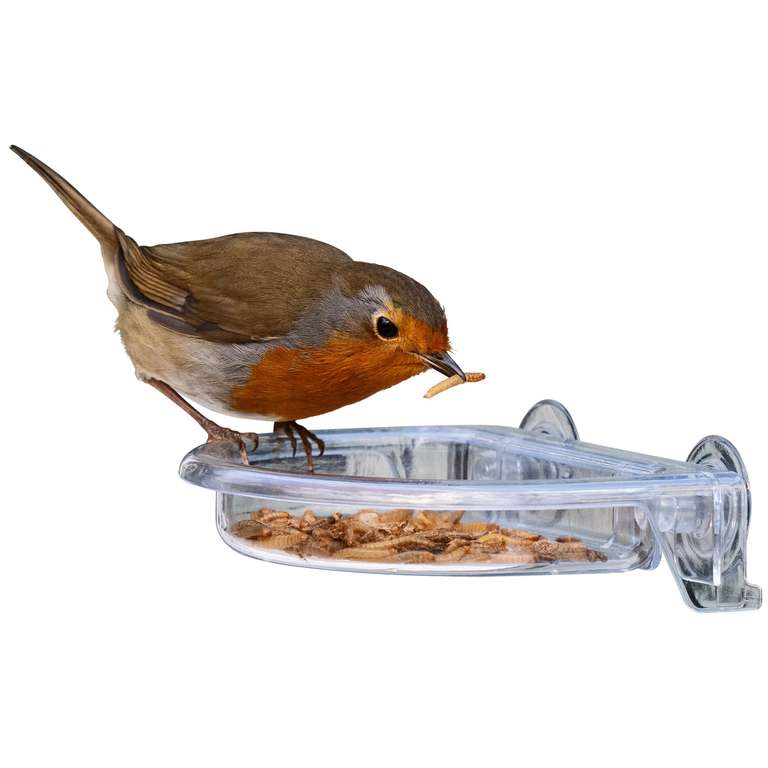 Small Easy Clean Garden Window bird feeders - Jacobi Jayne I Love Robins TreatTray
